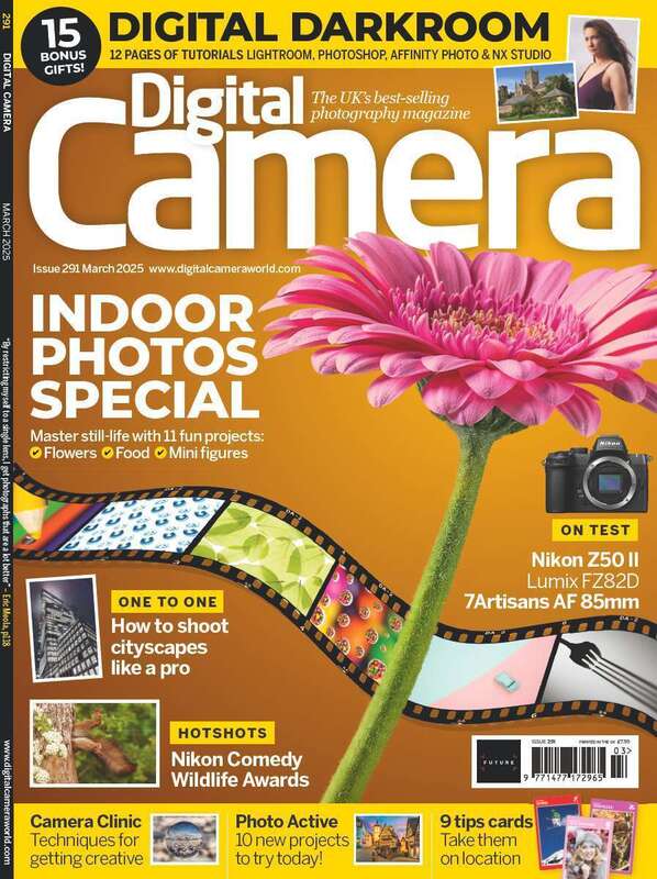 March 2025 Issue 291 Premium