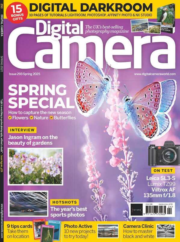 Spring 2025 Issue 293 Premium