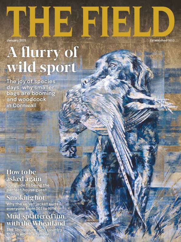  cover 3