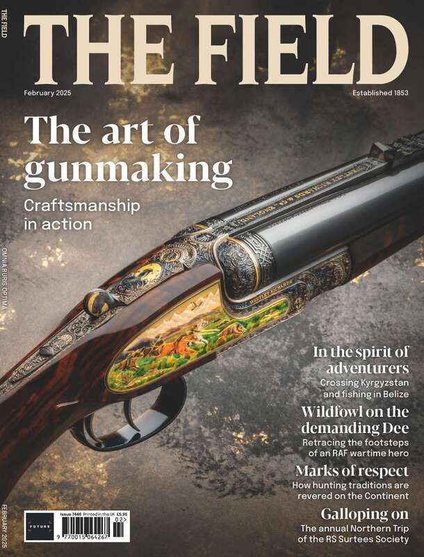  cover 2