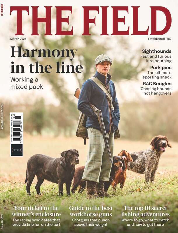  cover 1