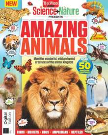 Amazing Animals