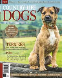 Country Life: Dogs 