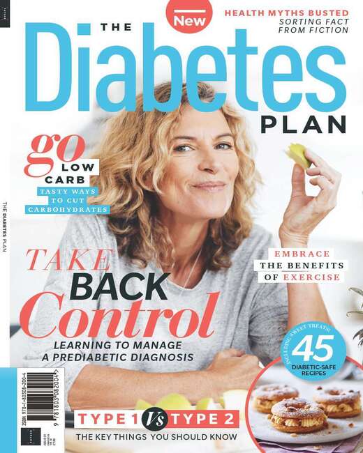 The Diabetes Plan